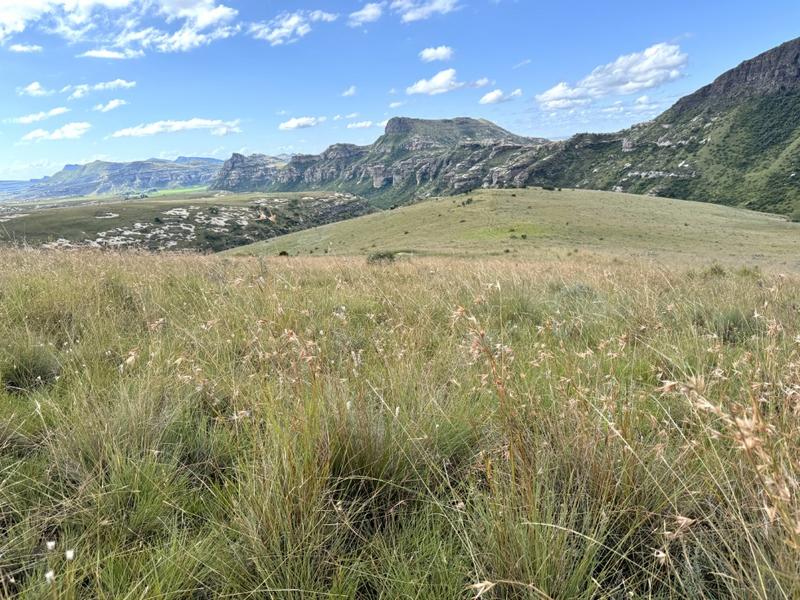 0 Bedroom Property for Sale in Fouriesburg Free State